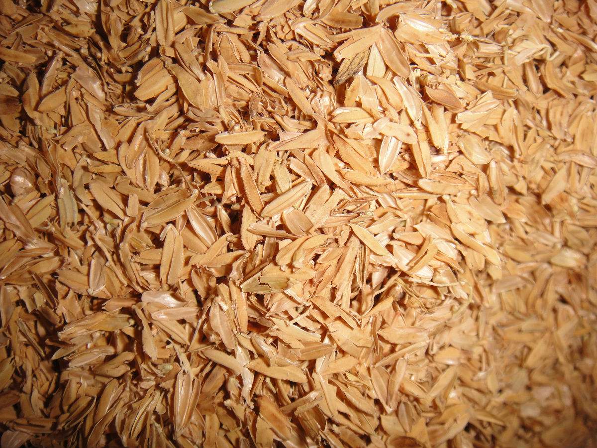 <strong>撕碎機(jī)處理生物質(zhì)廢料：資源化與環(huán)保新路徑</strong>