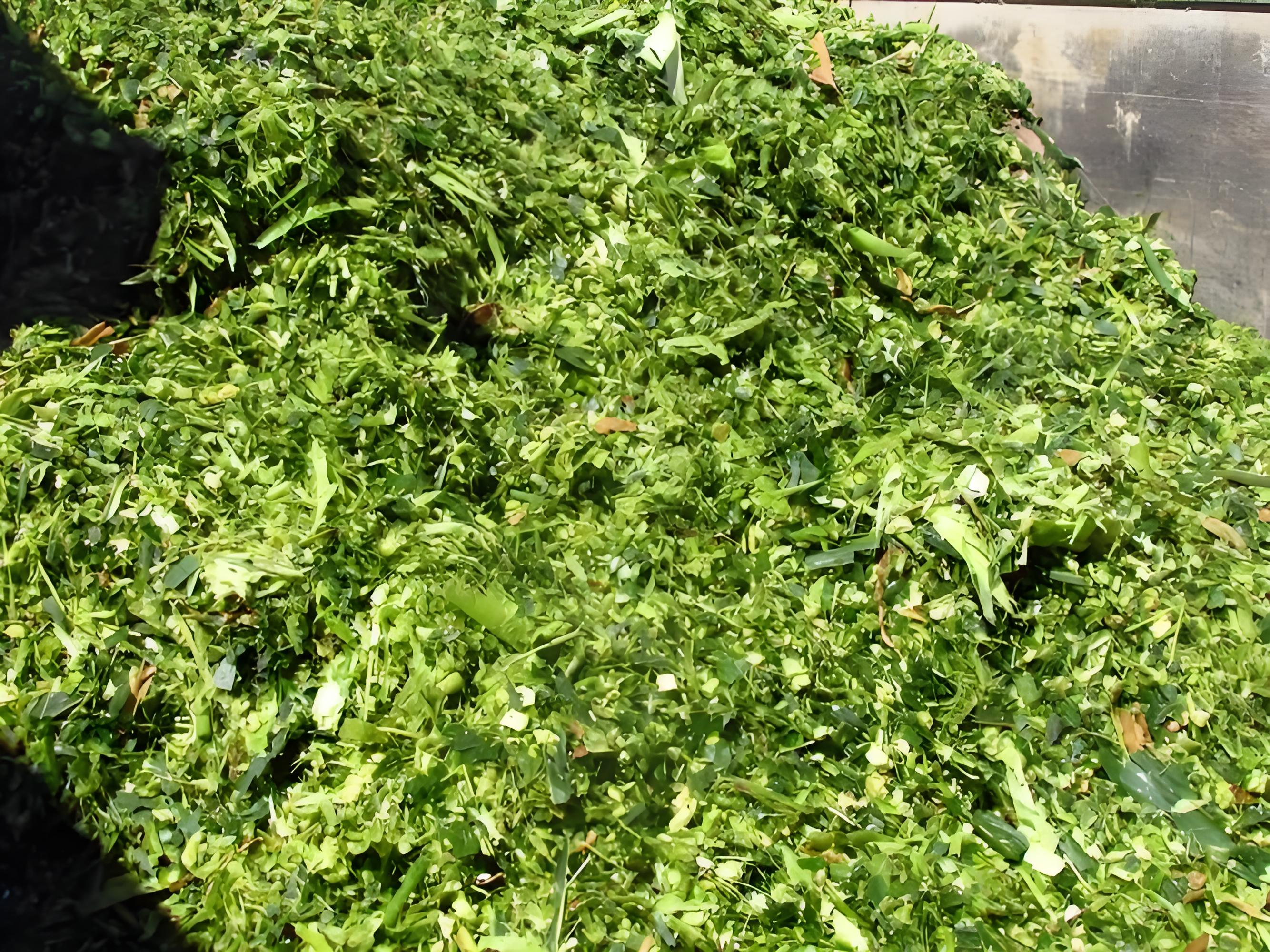 <strong>青貯飼料由撕碎機(jī)處理的好處</strong>